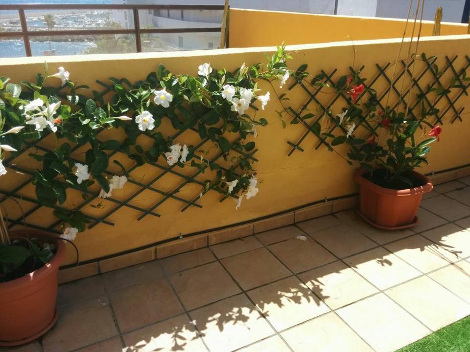 431 - Edif Aguamarina - Vacation Rental Home In The Coast Line Of Golf Del Sur San Miguel de Abona Luaran gambar