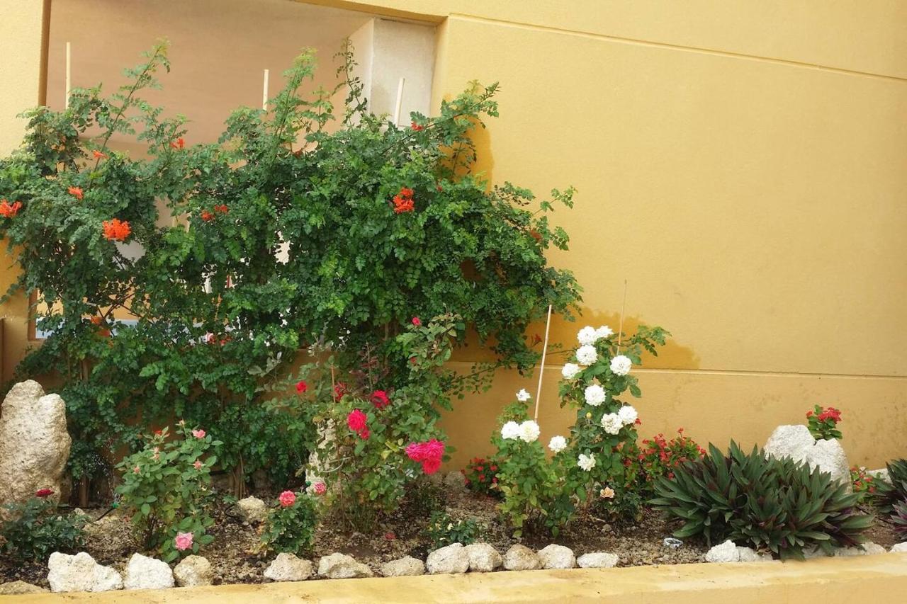 431 - Edif Aguamarina - Vacation Rental Home In The Coast Line Of Golf Del Sur San Miguel de Abona Luaran gambar